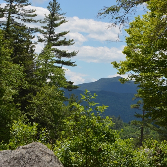 Meet your Posher Merlin aka Cheryl - Picture 3 of 12